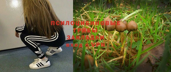 apvp Каменск-Шахтинский