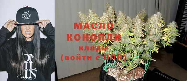 2c-b Каменка