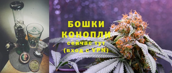 2c-b Каменка